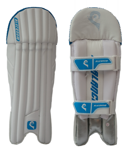 Blueroom Wicket Keeper Pads