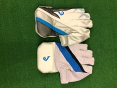 Blueroom Avalanche Wicket Keeping Gloves