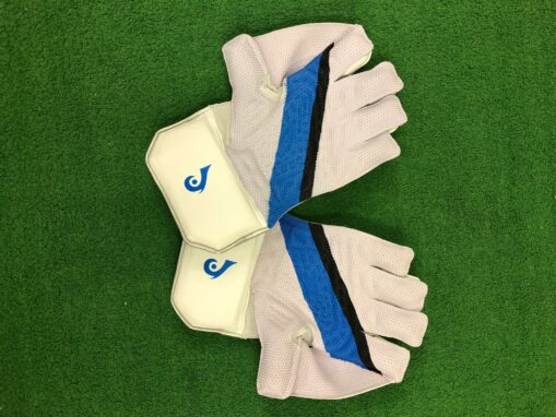 Blueroom Avalanche Wicket Keeping Gloves - Image 2