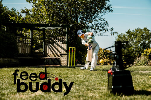 Feed Buddy - Tennis Balls (pack of 3) - Image 3